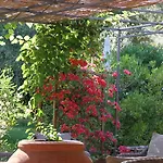 Hotel Rigacci
