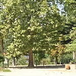 Hotel Rigacci