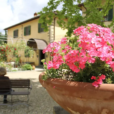 Rigacci Hotel 4*